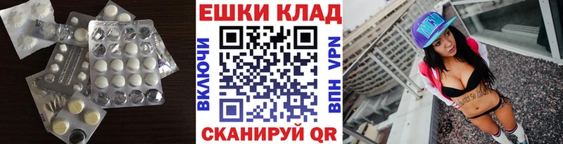 blacksprut ТОР  Павловская  Ecstasy Philipp Plein 