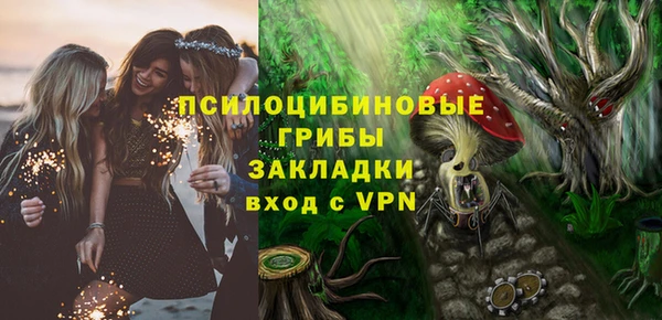 амф Краснослободск