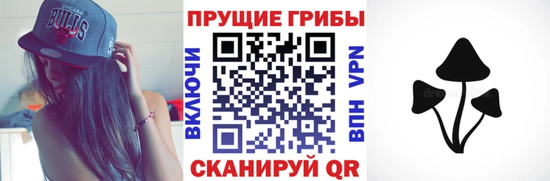 Псилоцибиновые грибы ЛСД  наркота  Павловская 